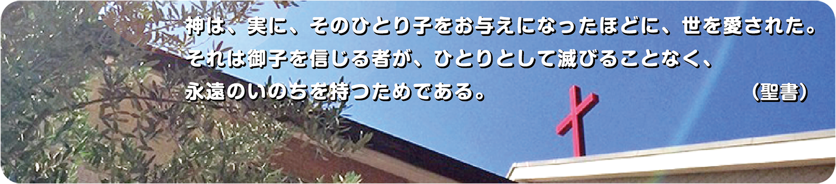 今週のみことば